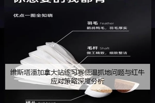 维斯塔潘加拿大站练习赛低温抓地问题与红牛应对策略深度分析